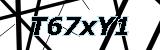 Enter the text seen in the box above