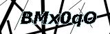 Enter the text seen in the box above